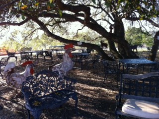 Or just relax under the old oak tree.